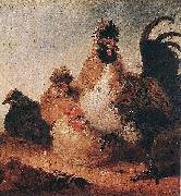 Aelbert Cuyp Rooster and Hens. oil